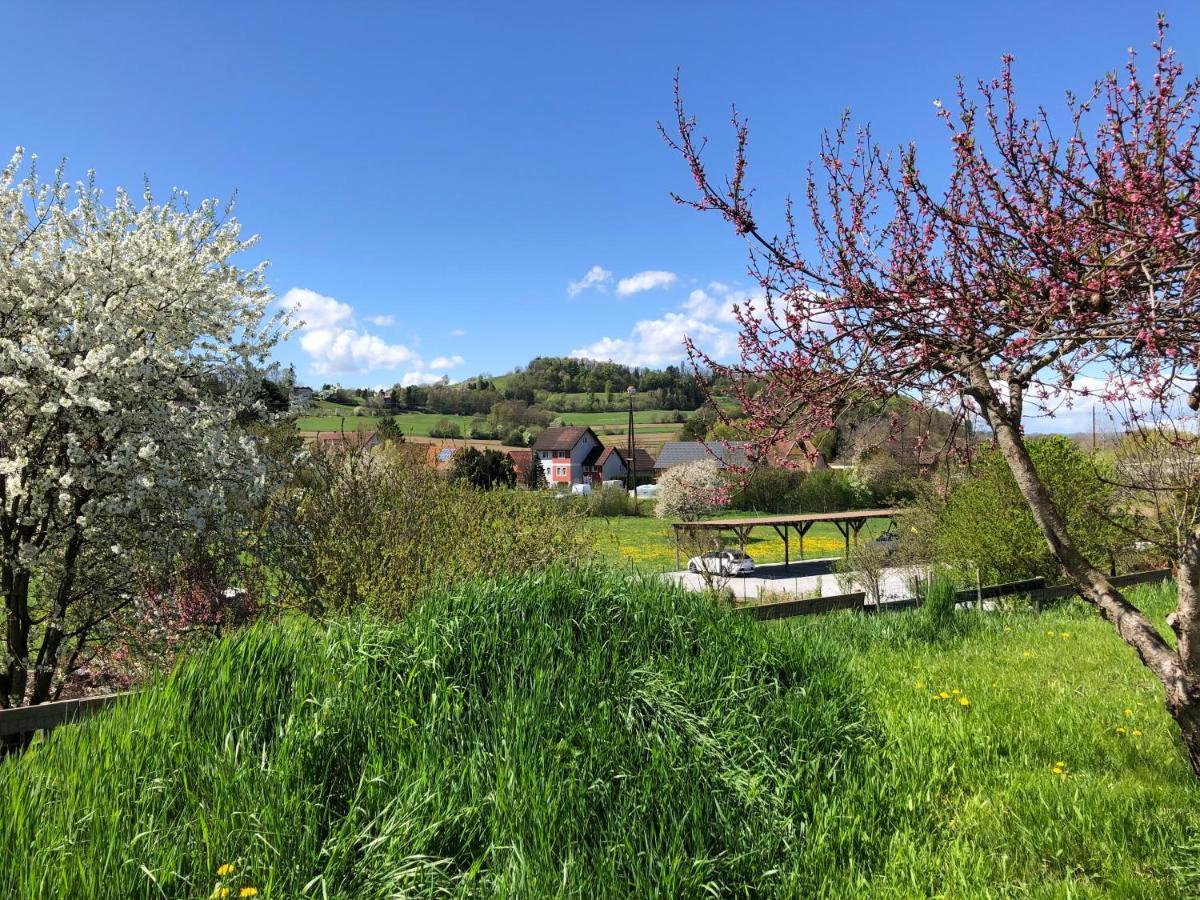 Ferienwohnungen Und Appartements Im Idyllischen Vierkanthof, Gruppenurlaube Fürstenfeld Eksteriør bilde