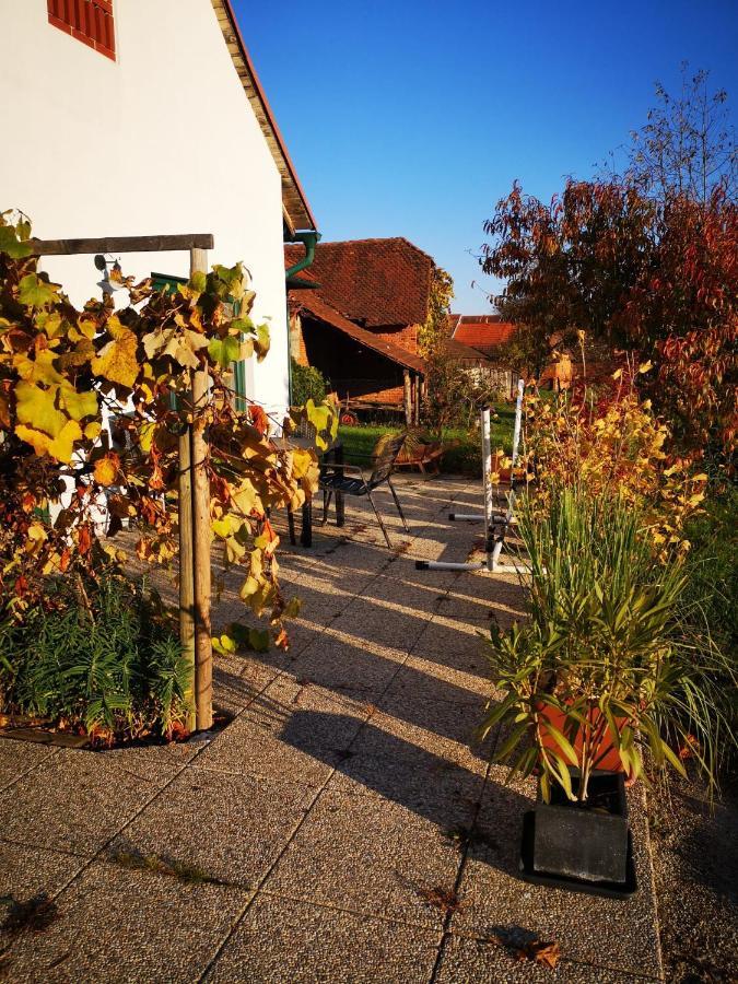 Ferienwohnungen Und Appartements Im Idyllischen Vierkanthof, Gruppenurlaube Fürstenfeld Eksteriør bilde